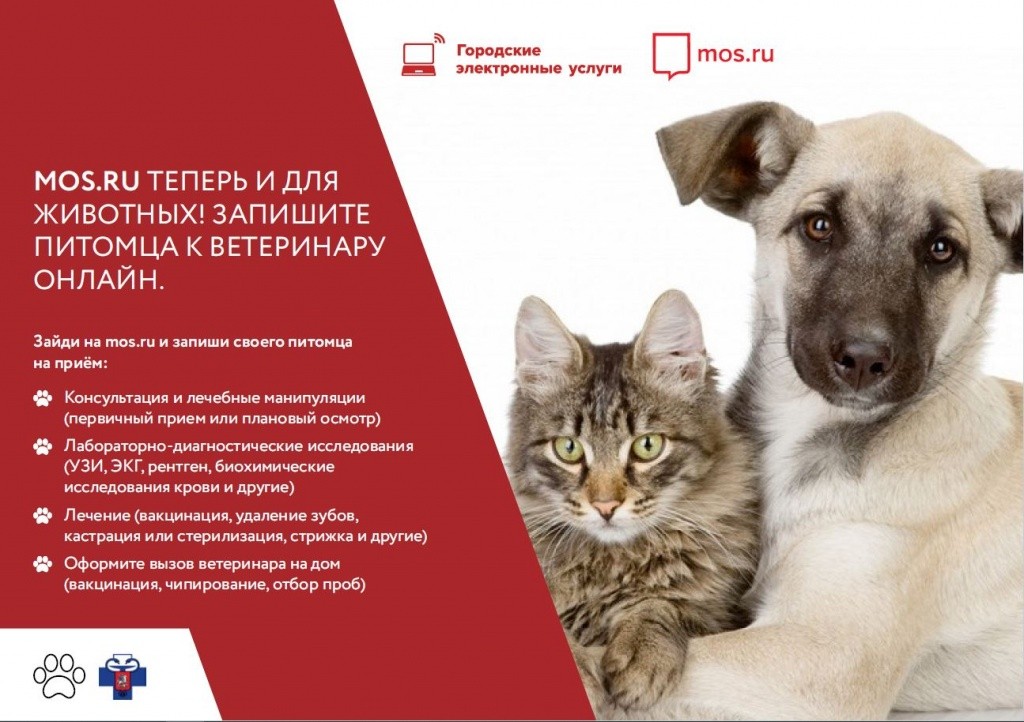 mos.ru теперь и для животных!