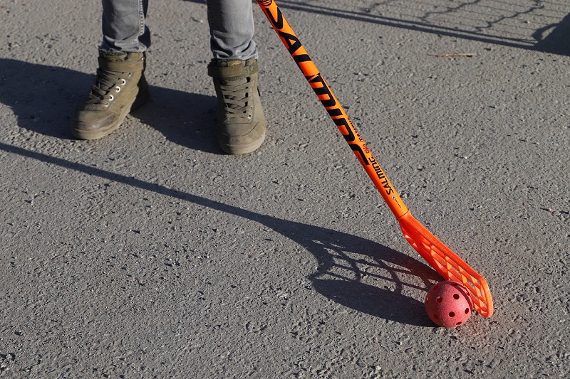 Хоккейный клуб «Снегири» в Бирюлеве Западном провел онлайн-тренировку для подростков
