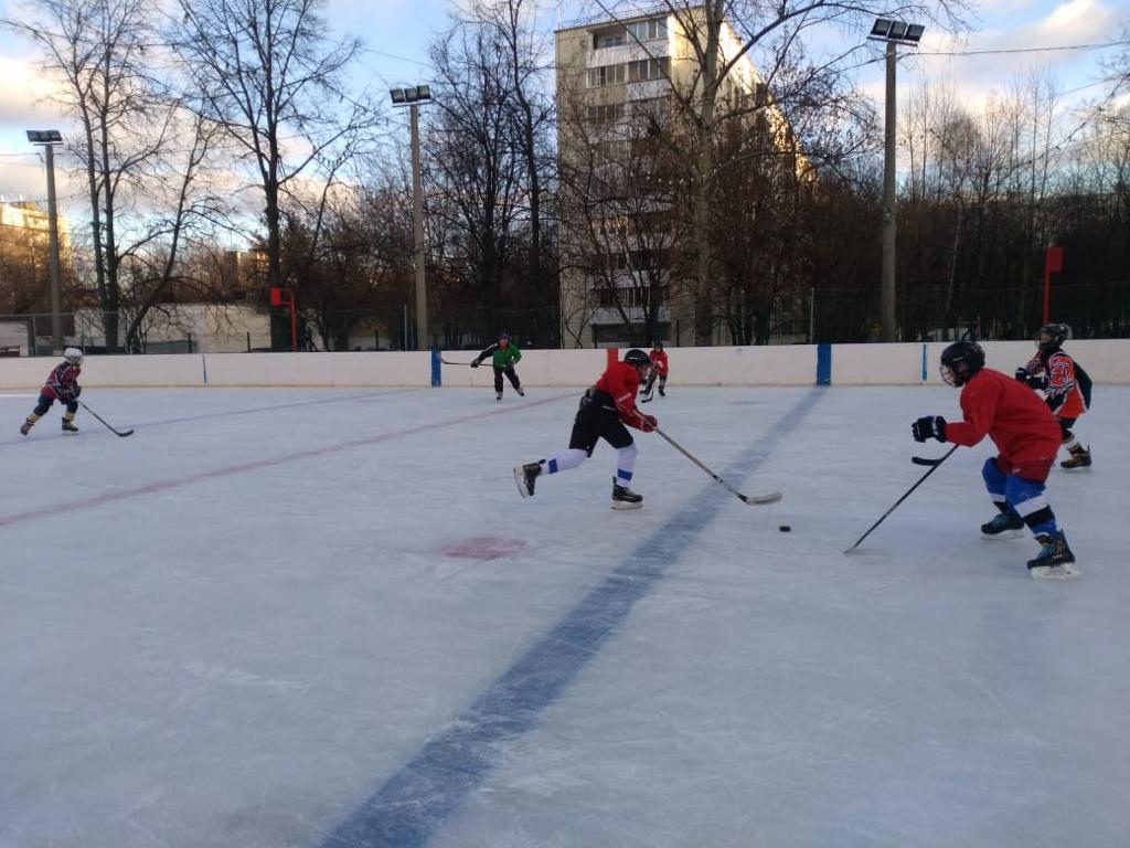 Хоккейный турнир прошел в Бирюлеве Западном