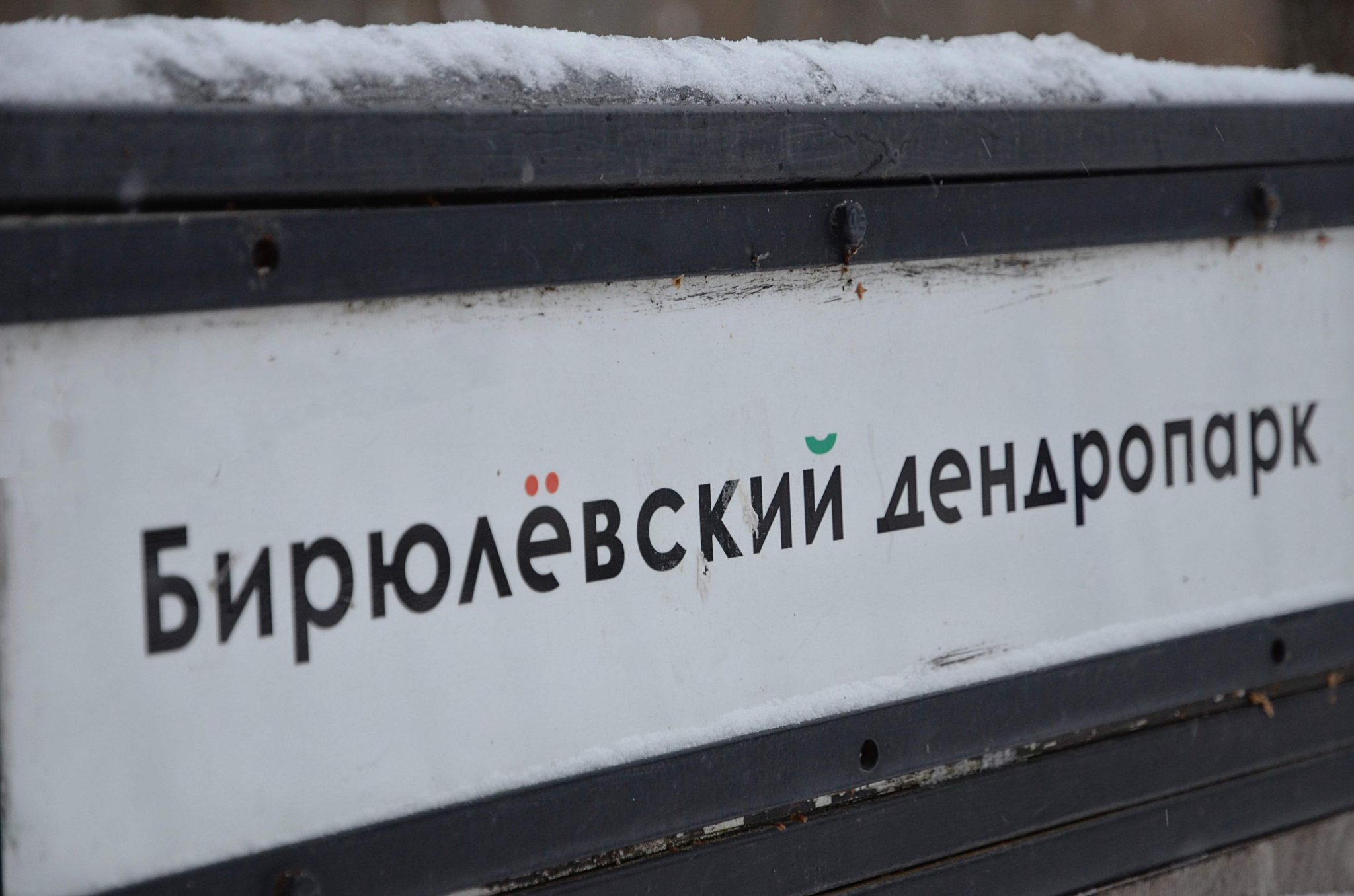 Мосприрода: В Бирюлевском дендропарке запланировали мероприятия