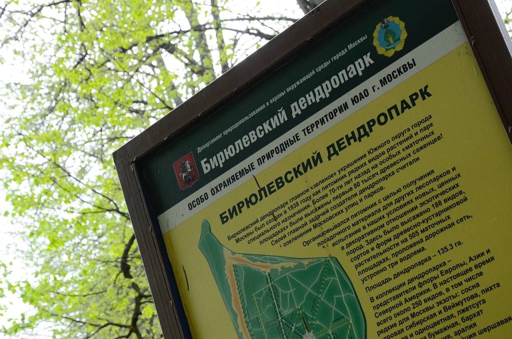 Бирюлевский дендропарк назвали одной из самых привлекательных локаций для осенней фотосессии