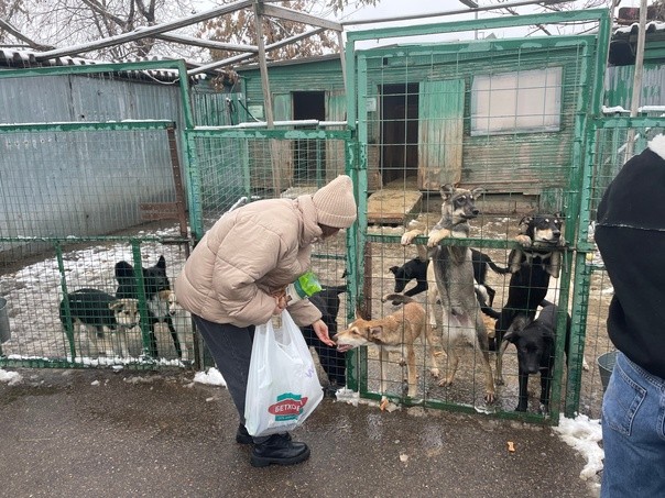 Приют для бездомных животных посетила команда Молодежной палаты района Бирюлево Западное