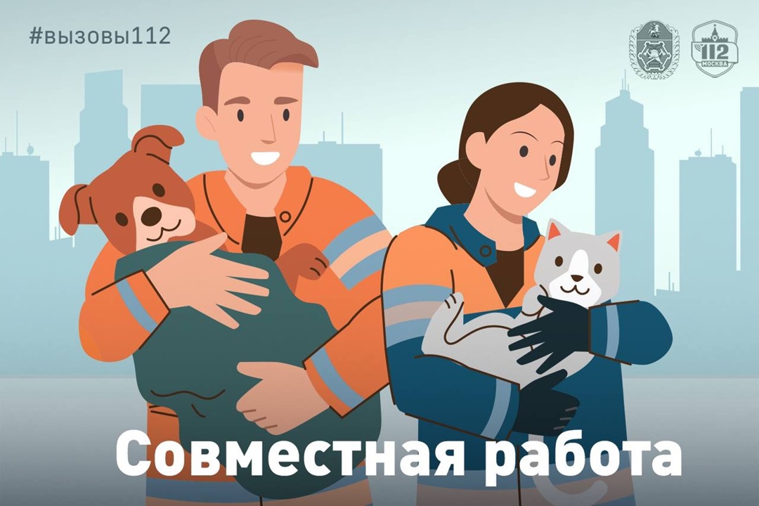 А ты найди кота