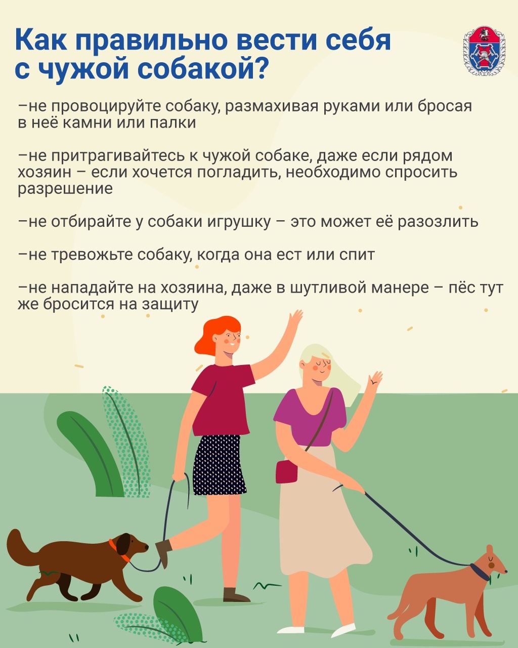 Выгул по правилам