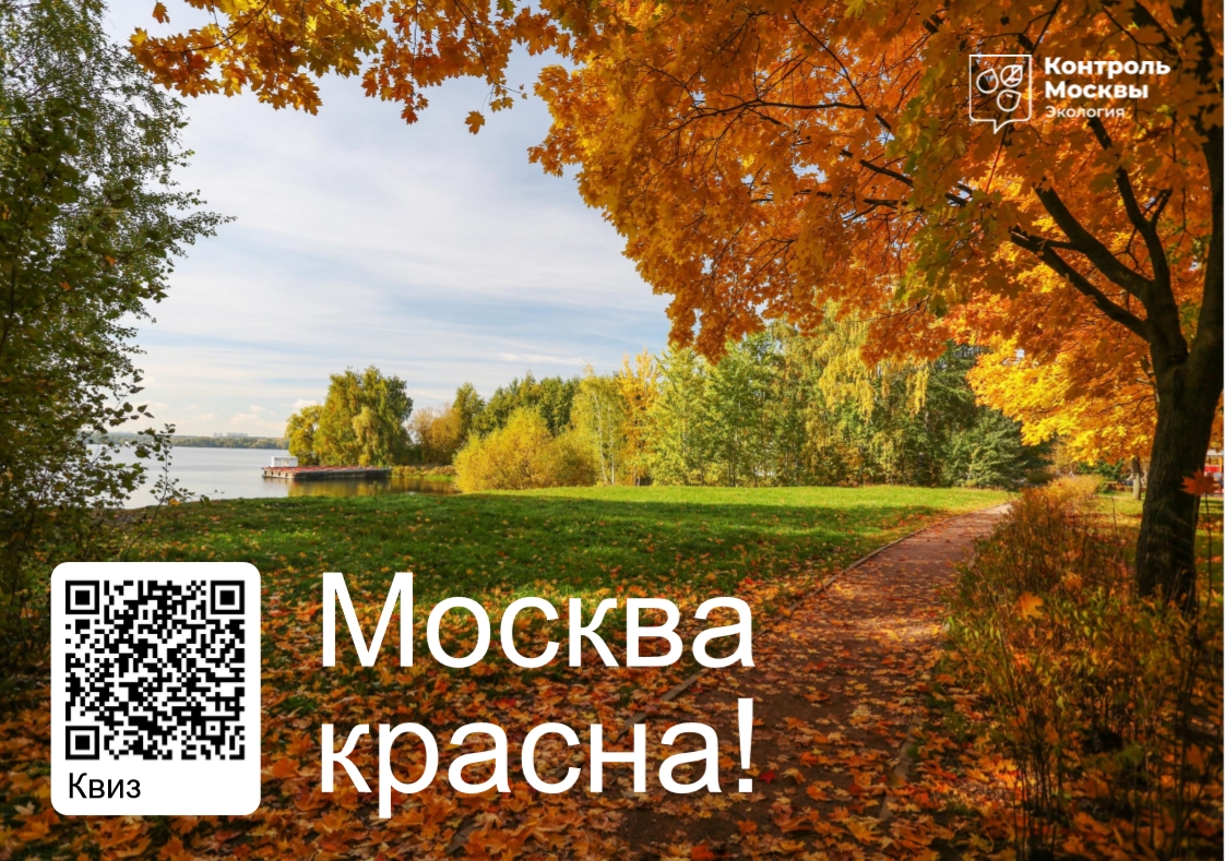 Москва красна! Москва красна!